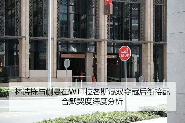 林诗栋与蒯曼在WTT拉各斯混双夺冠后衔接配合默契度深度分析